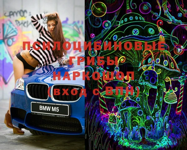 гидропоника Сатка