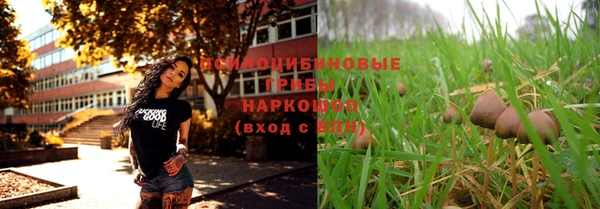 бутират Гатчина