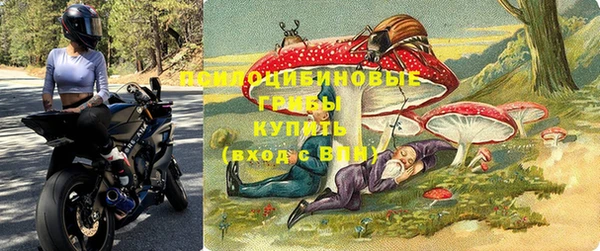 гидропоника Сатка