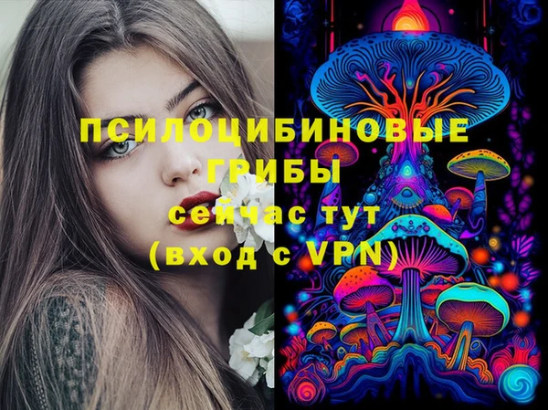гидропоника Сатка