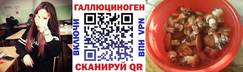 Галлюциногенные грибы MAGIC MUSHROOMS  Сортавала 